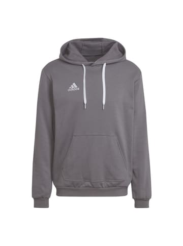 adidas Sweatshirt ENTRADA 22 Hoody TEGRFO in grau