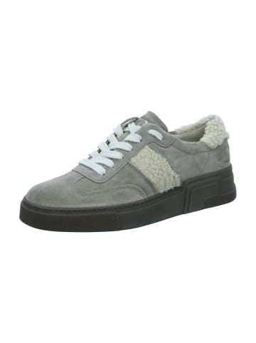 Paul Green Sneaker Low in Grau