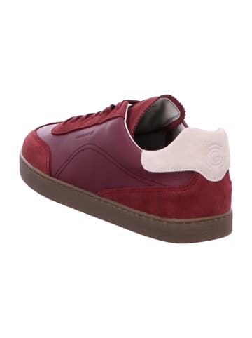 Groundies Sneaker Low in Rot