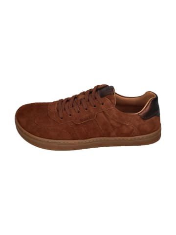 KOEL Sneaker Low HELENA SUEDE  in braun