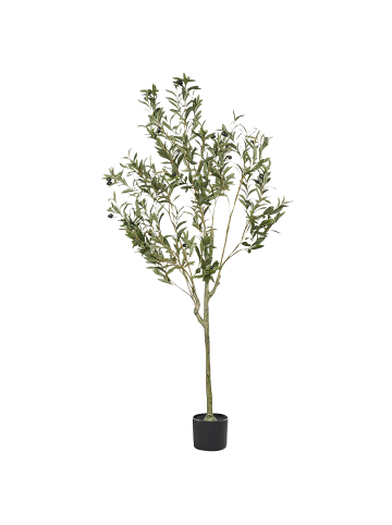 Beliani Kunstpflanze OLIVE TREE in Grün/Schwarz - (W) 63 x (H) 153 x (L) 63 cm