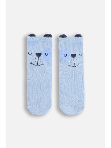 Coccodrillo Socken in bunt