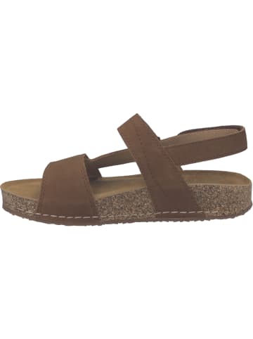 Josef Seibel Sandale Hannah 02 in braun