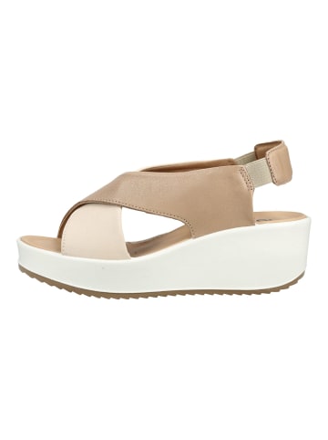 Igi&Co Sandalen Braun/Beige