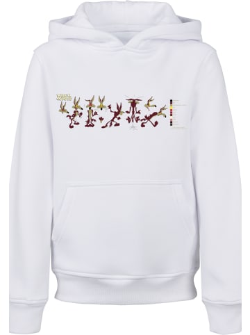 F4NT4STIC F4NT4STIC Hoodie in white