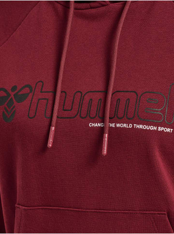 Hummel Hoodie Hmlnoni 2.0 Hoodie in CABERNET