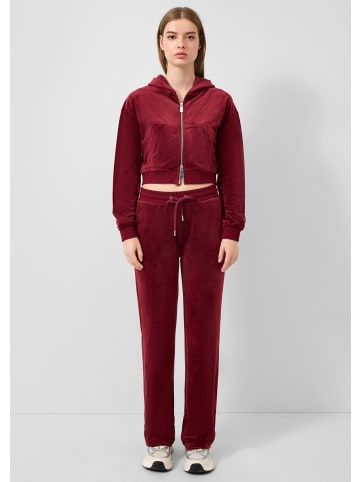 QS Hose in 3900_bordeaux