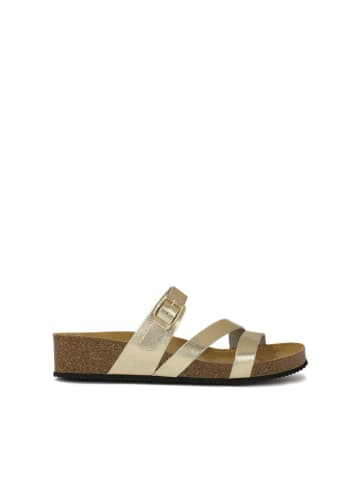 Kazar Slipper in Gold