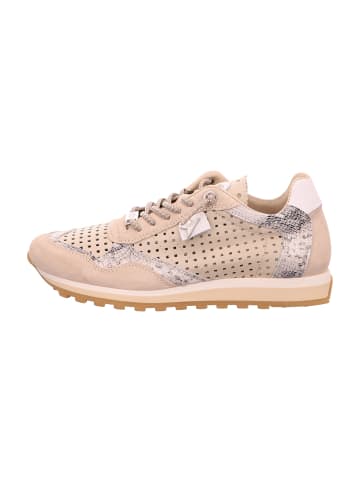 Cetti Sportliche Schnürschuhe in Beige