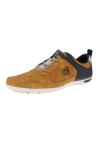 Bugatti Sneaker low 321-ASG01-5000 XL in Gelb