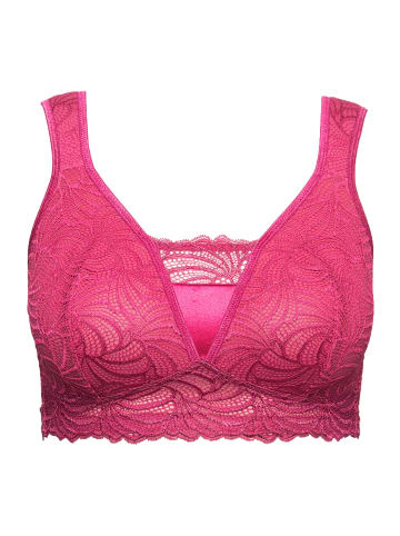 Ulla Popken BH ohne Bügel in fuchsia