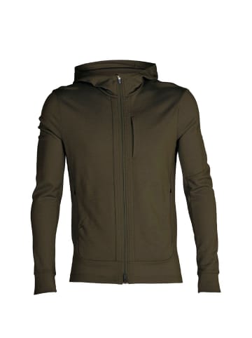 icebreaker Jacke Quantum III Hoodie in Oliv