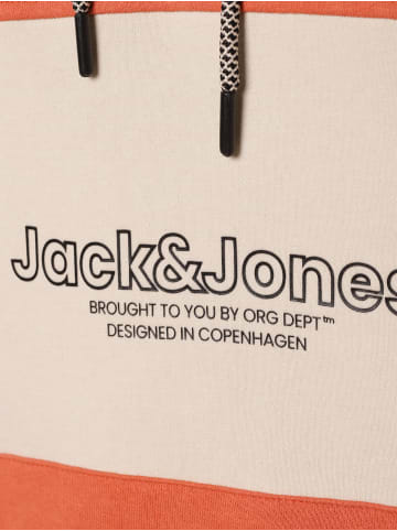 Jack & Jones Kapuzenpullover JORLakewood in orange