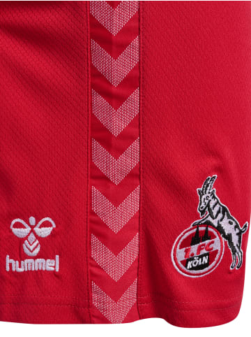 Hummel Hummel Kurze Hose 1Fck 23/24 Fußball Erwachsene Atmungsaktiv Schnelltrocknend in TRUE RED