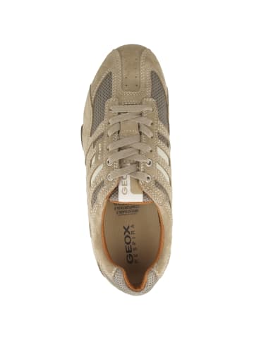 Geox Sneaker low U Snake K in beige