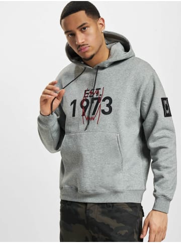 Puma Puma Kapuzenpullover in medium grey heather