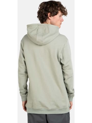 Reell Hoodie "Staple Terry Hoodie" in Grün