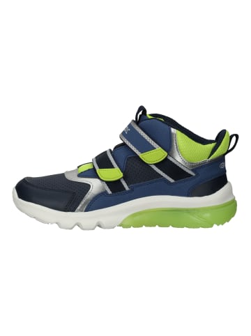 Geox Sneaker in Navy/Lime