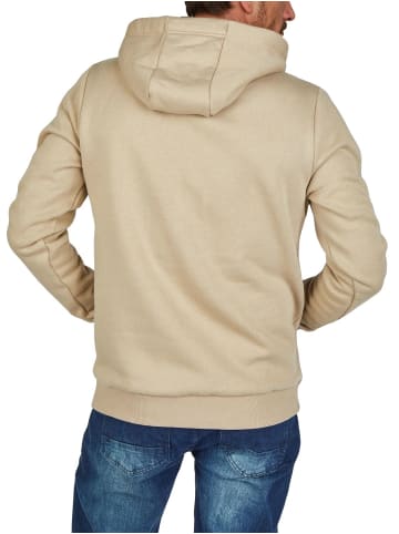 DENIMFY Pullover DFBenno in Beige