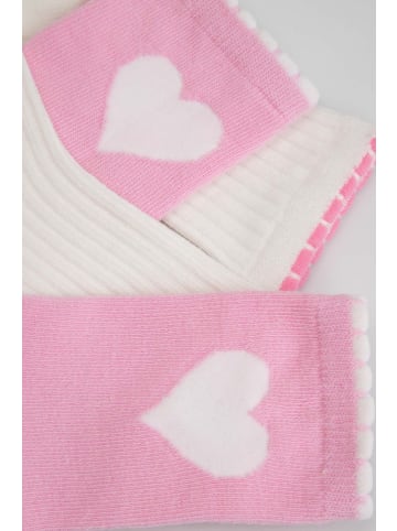 Coccodrillo Socken in bunt