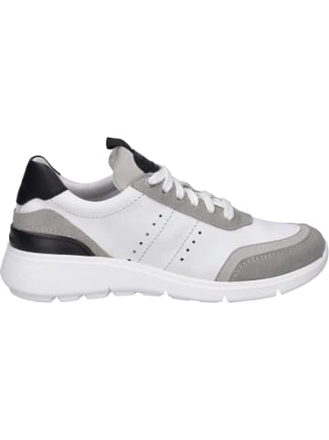 Josef Seibel Sneaker Giulietta 01 in weiss-grau