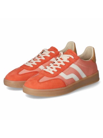 Gant Schnürhalbschuh in rot