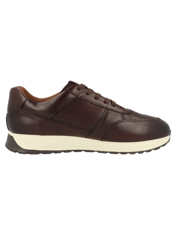 Clarks Sneaker low Radwell Tie in braun