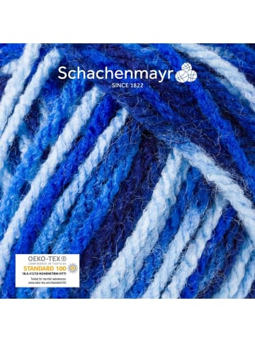 Schachenmayr since 1822 Handstrickgarne Bravo Color, 50g in Atlantis