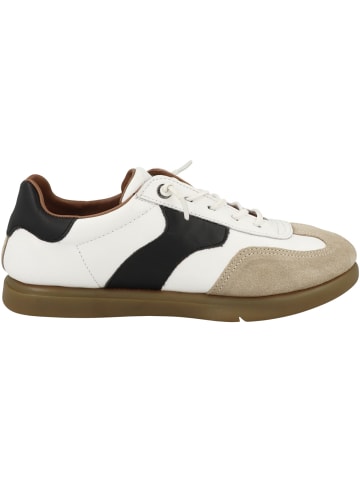 Camel Active Sneaker low 58CDN01 in weiss