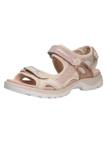 Ecco Sportsandale in rosa/pink