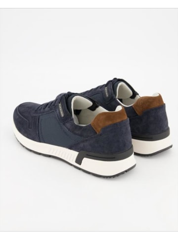 Pius Gabor Sneaker in Blau