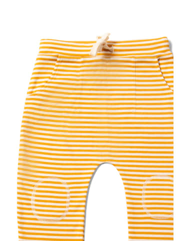 Little Green Radicals Bio-Comfy-Jogger in Gold