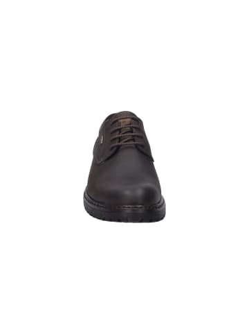 Josef Seibel Freizeitschuhe Erroll in braun in braun