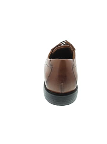 LLOYD KENTUCKY Business Schuh Braun