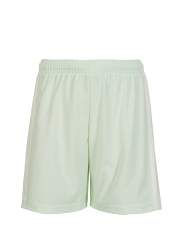 adidas Performance Shorts Condivo 18 in hellgrün / weiß