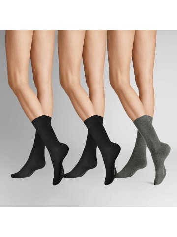Hudson Socken Easy³ 3-Pack in Set black