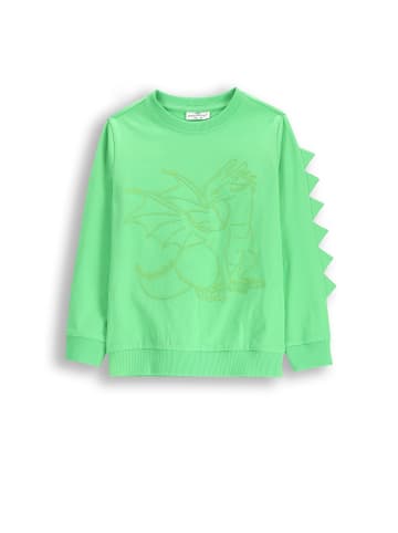 Coccodrillo Langarm-T-Shirt in grün