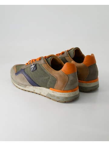 Cetti Sneaker low in Blau