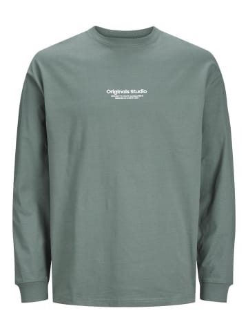 JACK & JONES Junior Langarm-T-Shirt in Laurel Wreath