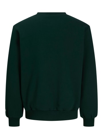 Jack & Jones Sweatshirt in Pine Grove