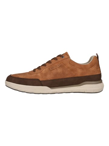Whistler Halbschuhe Alcoy in 8885 Various Brown