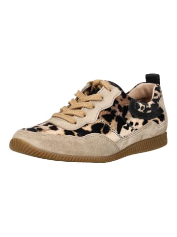 Paul Green Sneaker in Beige/Braun