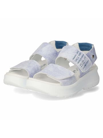 PANAMA JACK Sandalette in blau