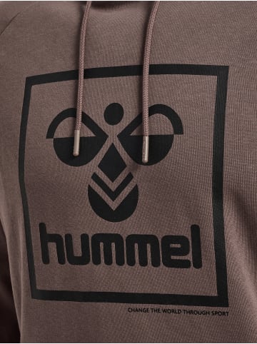 Hummel Hummel Kapuzenpullover Hmlisam Herren in IRON