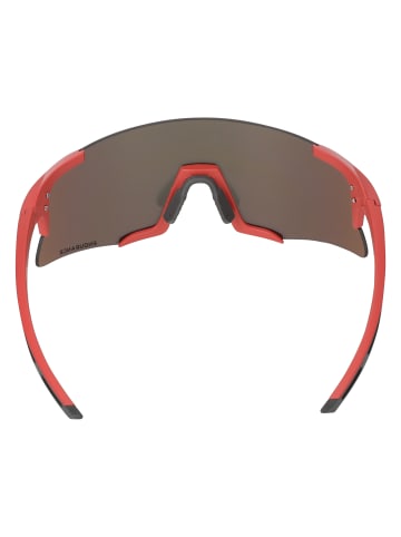 Endurance Sportbrille Wouter in 4409 Ginger
