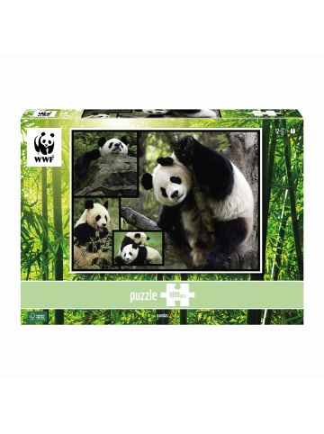 Carletto AMBASSADOR - Pandas 1000 Teile