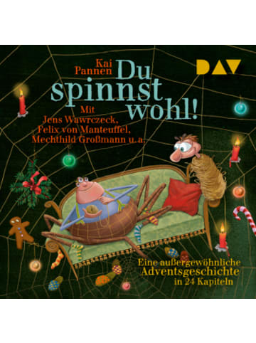 Der Audio Verlag Hörbuch - Du spinnst wohl! Eine außergewöhnliche Adventsgeschic