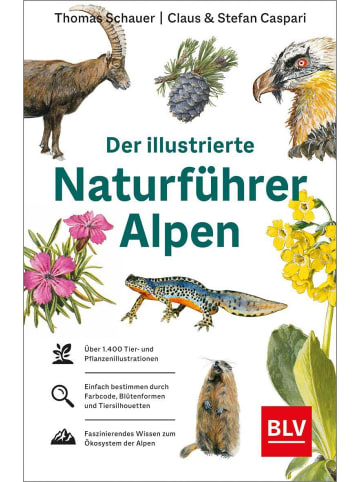 Bastei Lübbe Verlag Der illustrierte Naturführer Alpen
