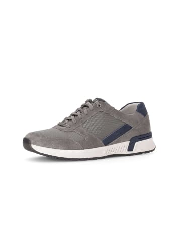 Pius Gabor Sneaker low in grau