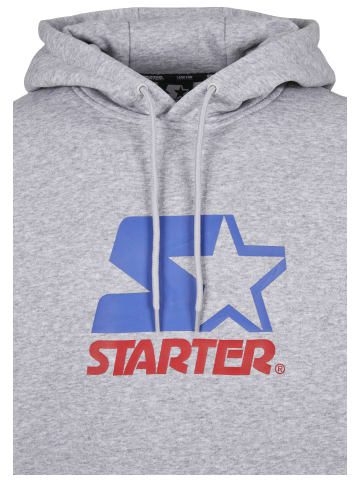 STARTER Sweat & Fleece - Hoody in h.grey